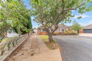 Photo 26- click for photo gallery